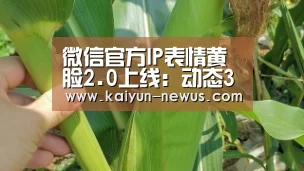 微信官方IP表情黄脸2.0上线：动态3D